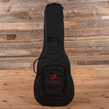 Breedlove ac250/sm-12 Natural 2007 Acoustic Guitars / 12-String