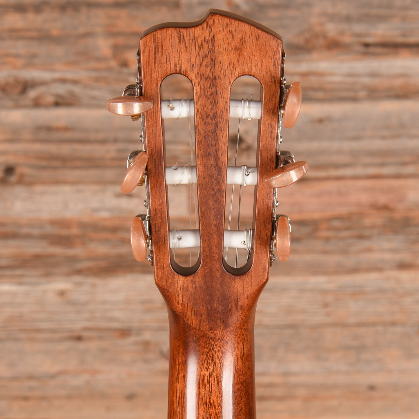 Breedlove Discovery S Concert Nylon CE Natural 2024 Acoustic Guitars