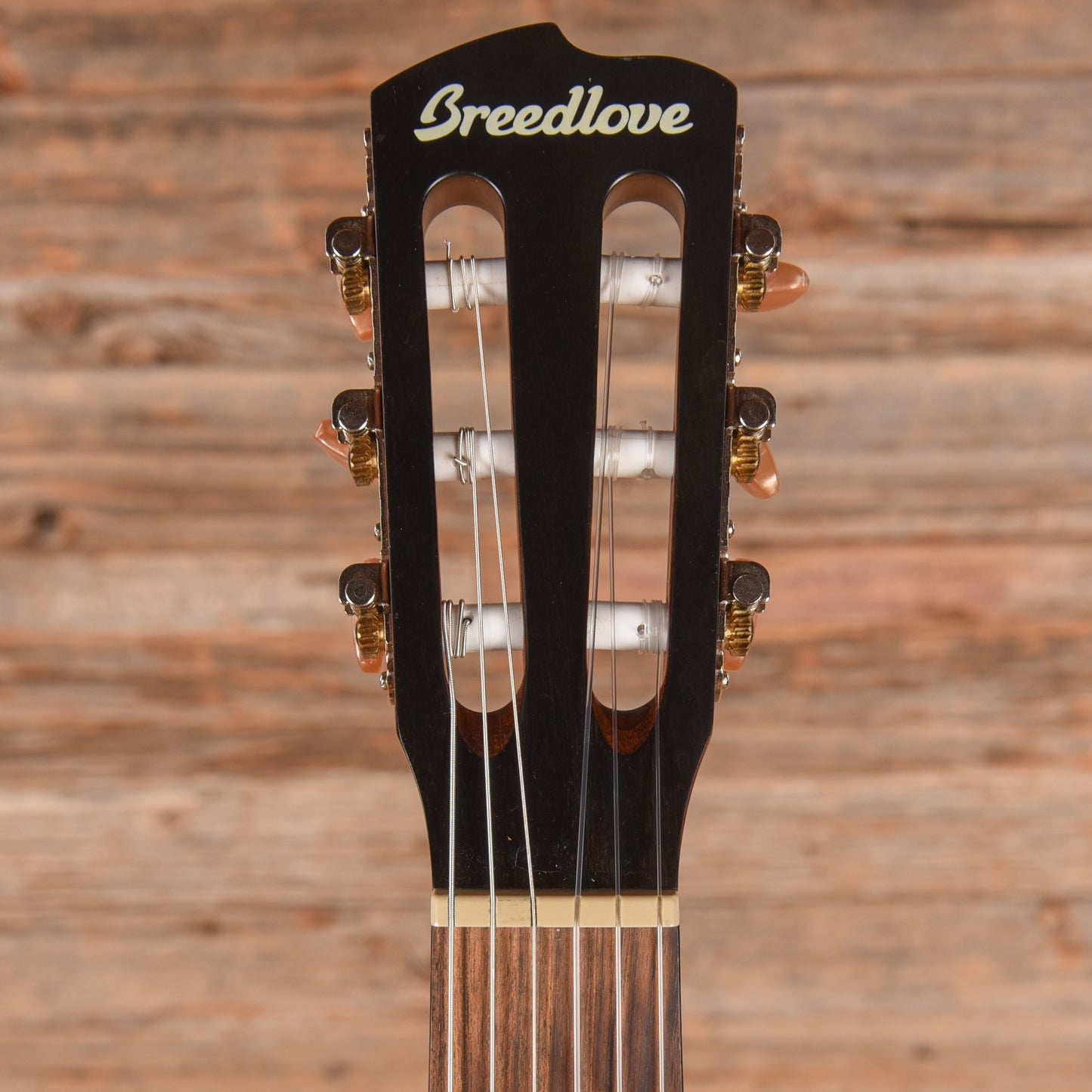 Breedlove Discovery S Concert Nylon CE Natural 2024 Acoustic Guitars