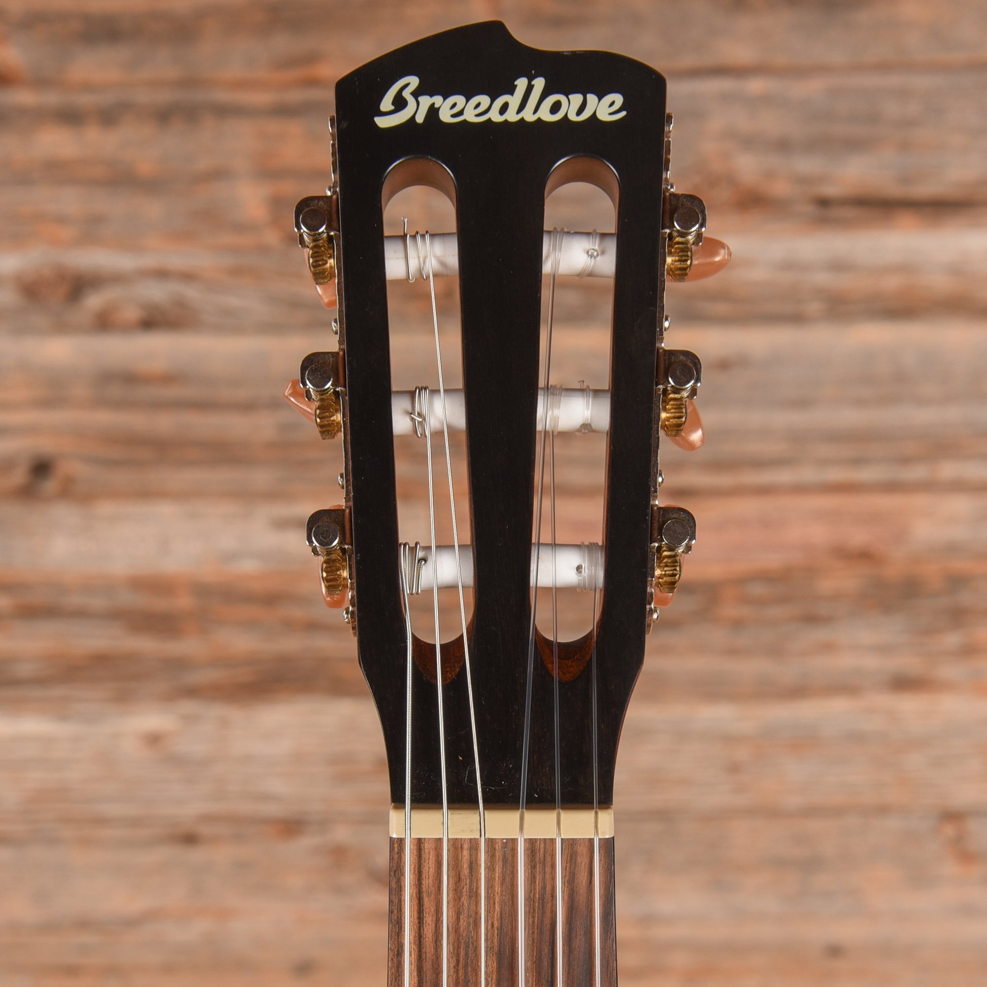 Breedlove Discovery S Concert Nylon CE Natural 2024 Acoustic Guitars