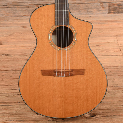Breedlove N25/R Natural Acoustic Guitars