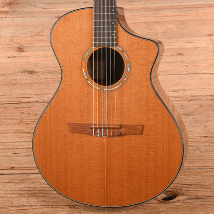 Breedlove N25/R Natural Acoustic Guitars