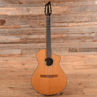 Breedlove N25/R Natural Acoustic Guitars