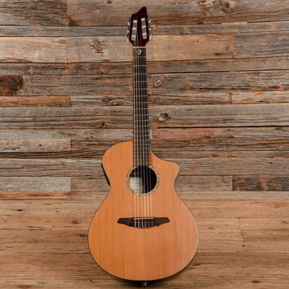 Breedlove Atlas AN250 Natural Acoustic Guitars / Classical