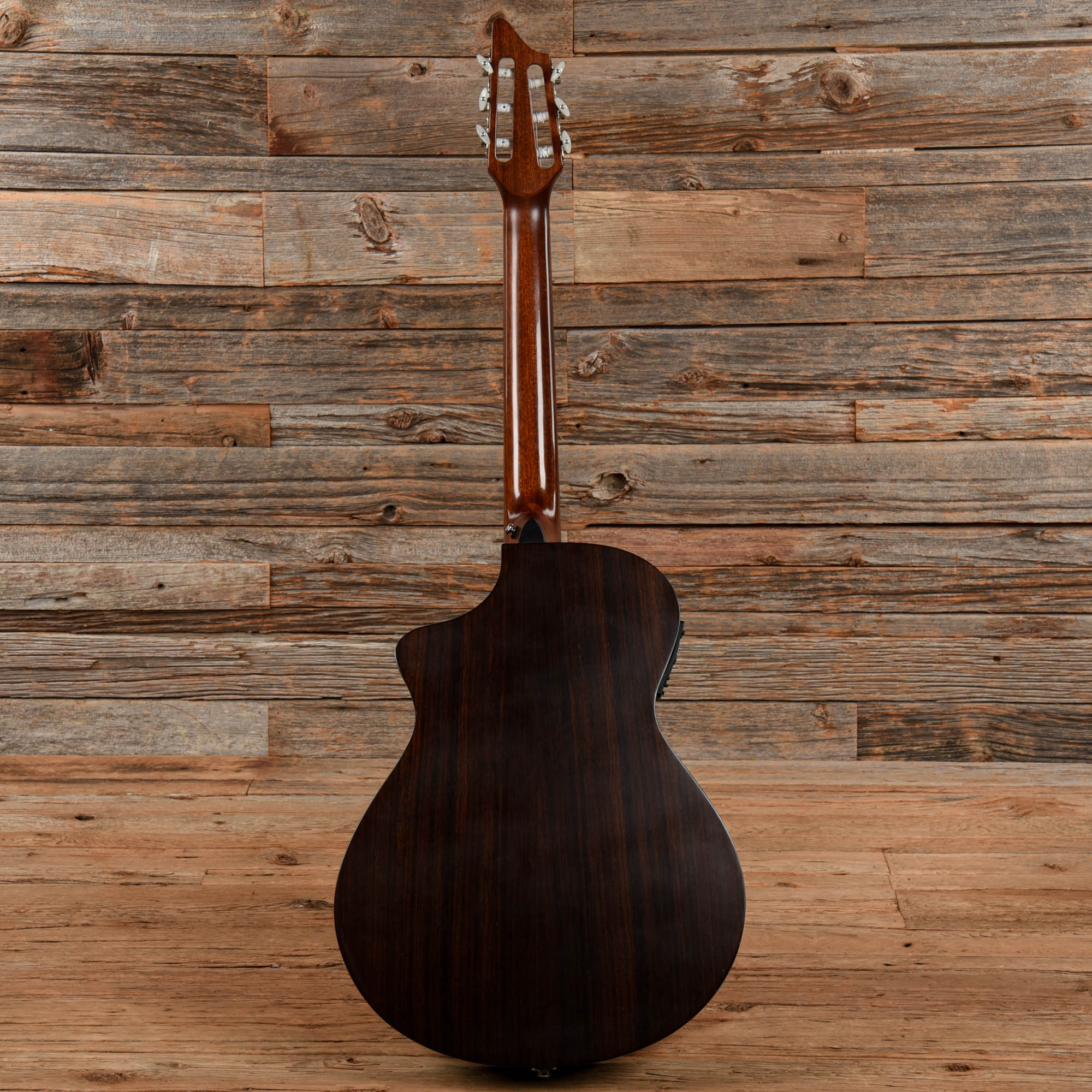 Breedlove Atlas AN250 Natural Acoustic Guitars / Classical