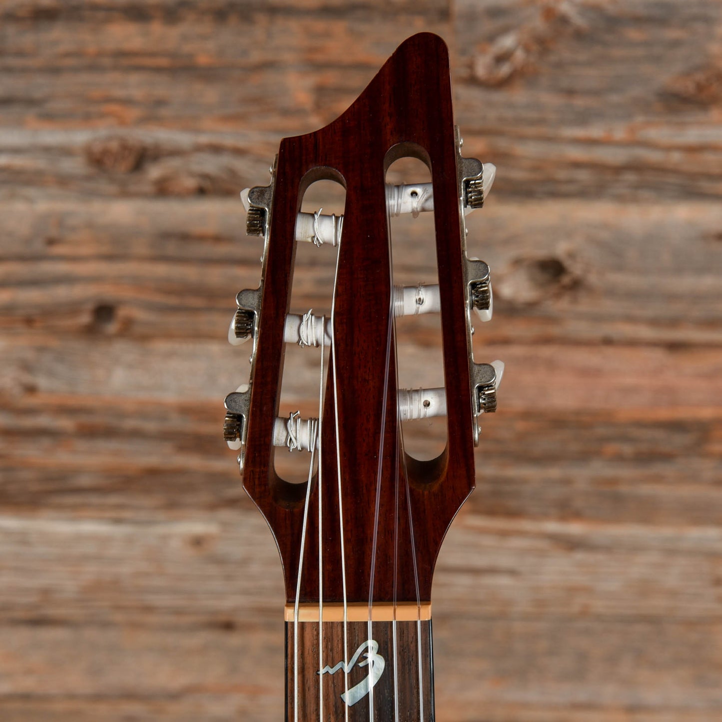 Breedlove Atlas AN250 Natural Acoustic Guitars / Classical