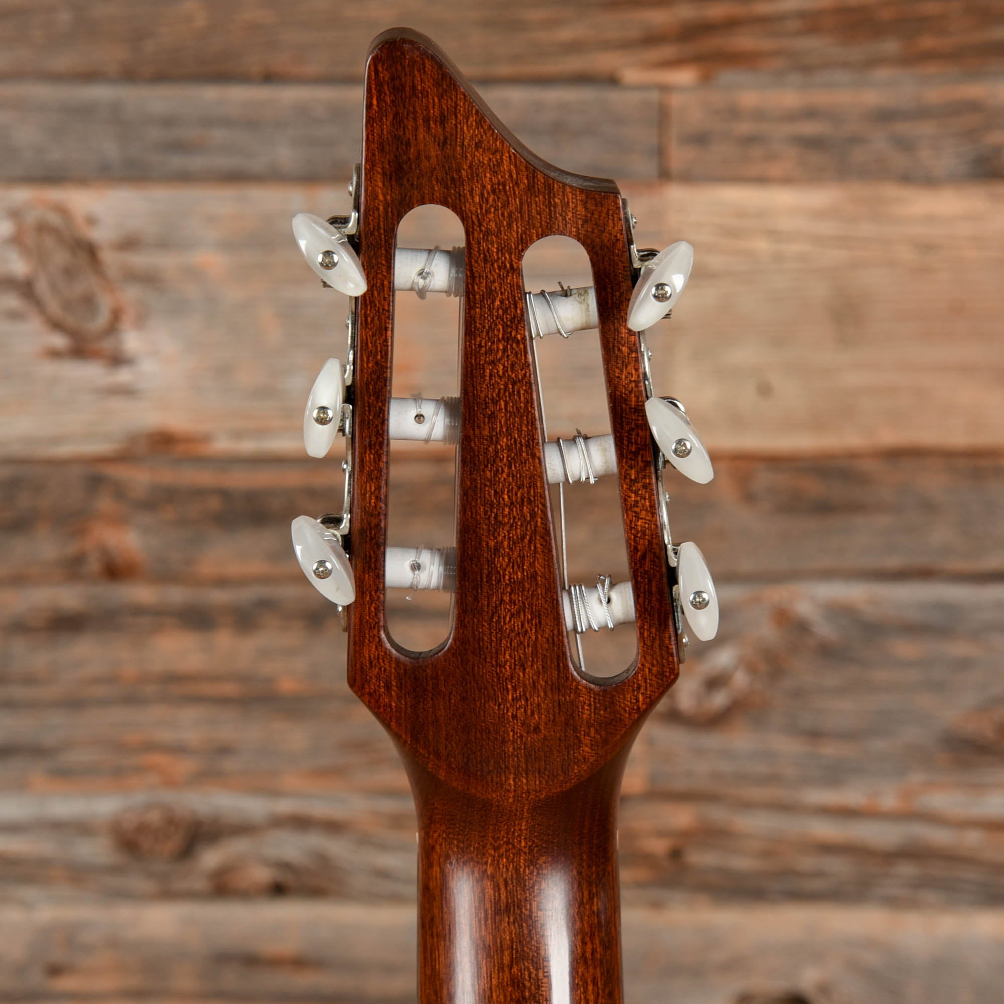 Breedlove Atlas AN250 Natural Acoustic Guitars / Classical
