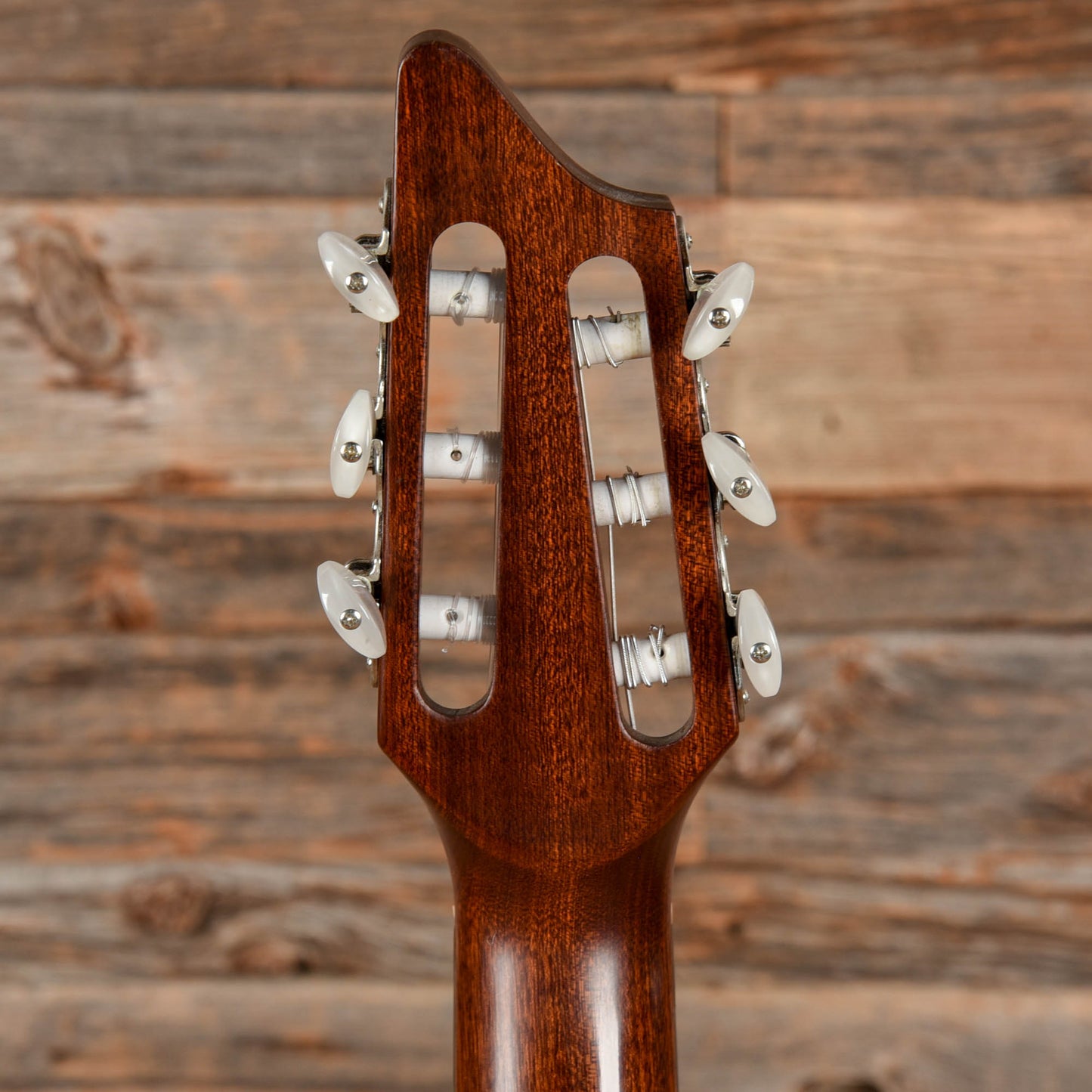 Breedlove Atlas AN250 Natural Acoustic Guitars / Classical