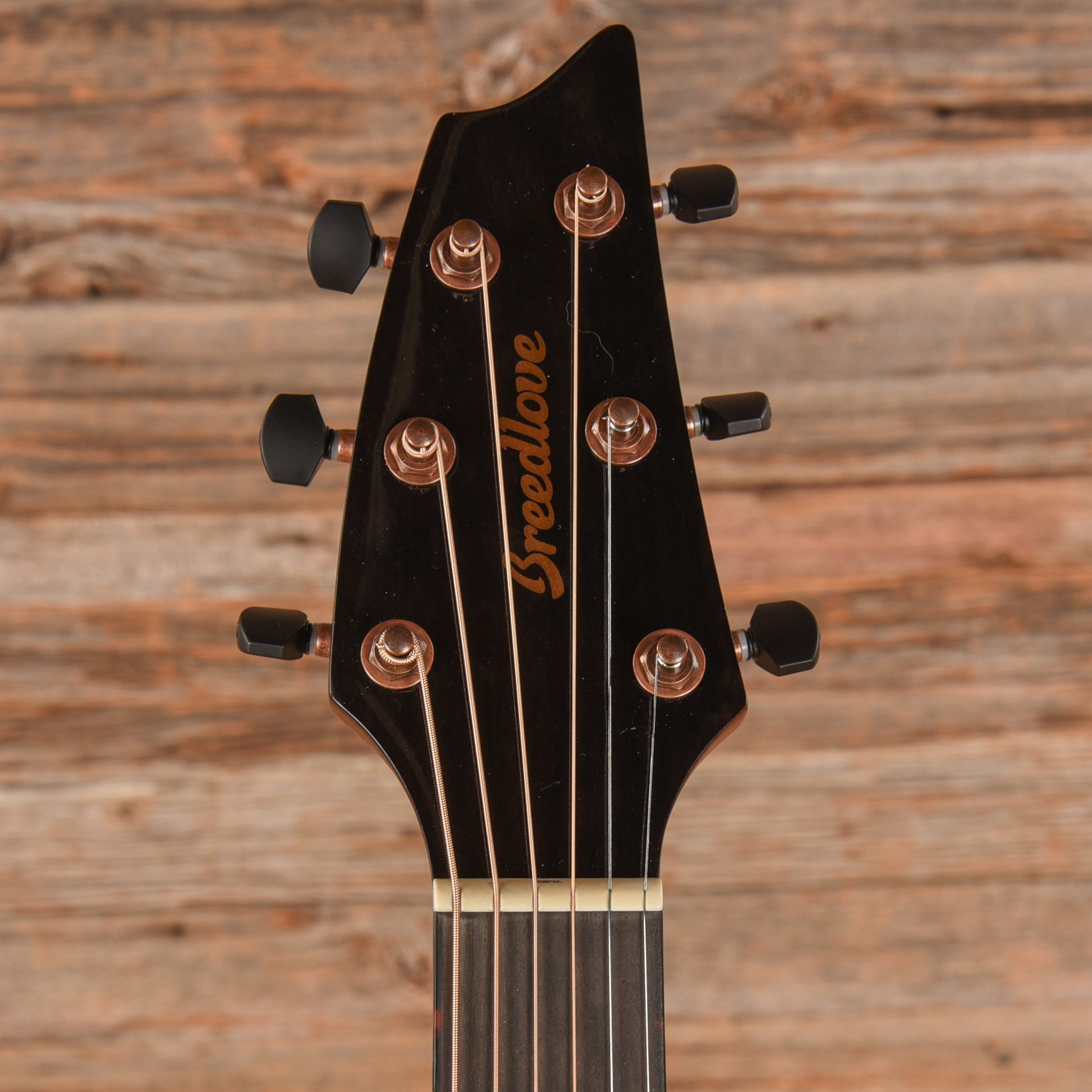 Breedlove Persuit EXS Concert EA CE Murtle Wood Earthsong 2022 Acoustic Guitars / Concert