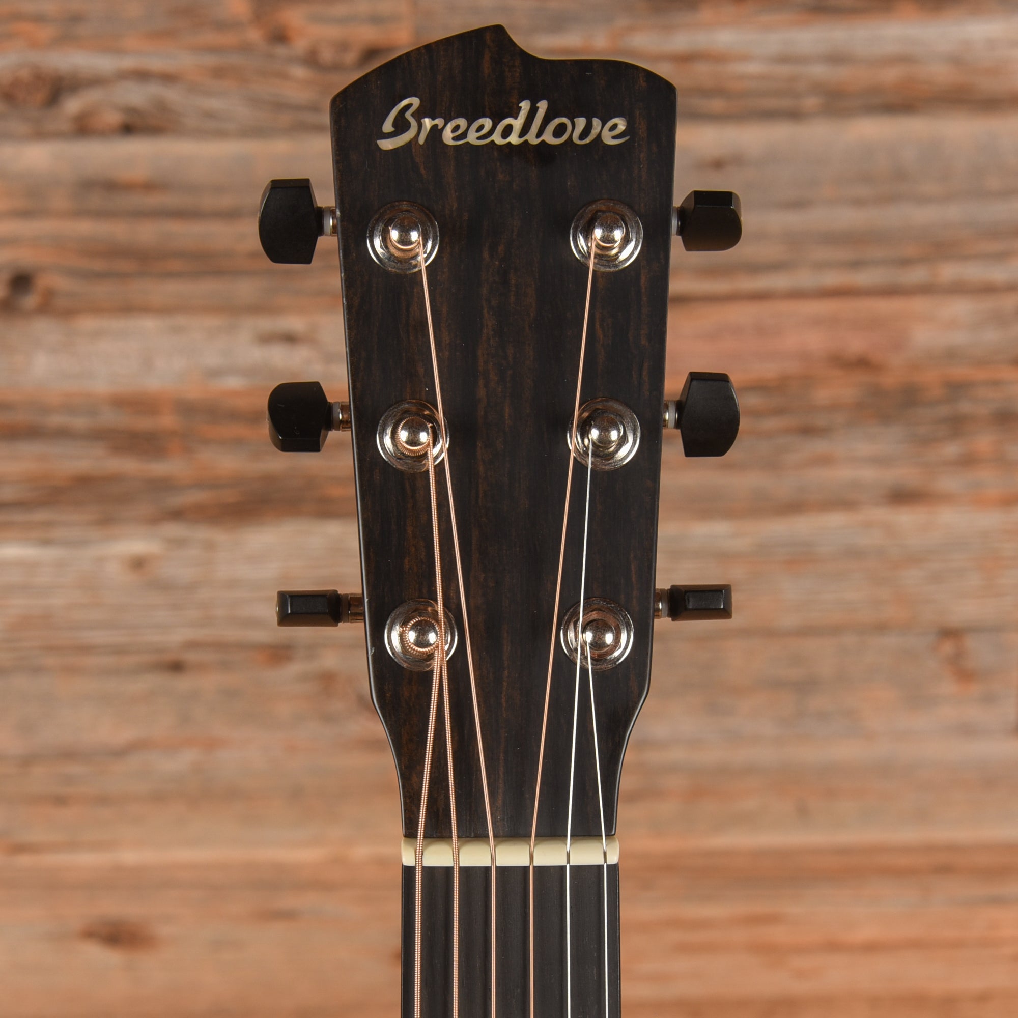 Breedlove Premier Concertina Sitka Spruce/Indian Rosewood Copper Acoustic Guitars / Concert
