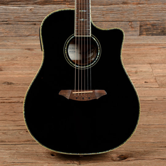 Breedlove Black Magic D25 Black Acoustic Guitars / Dreadnought