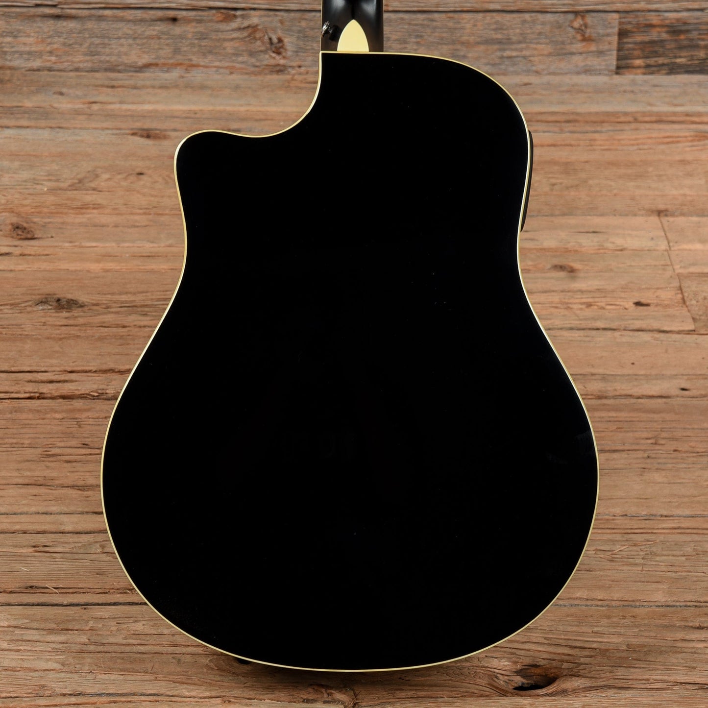 Breedlove Black Magic D25 Black Acoustic Guitars / Dreadnought