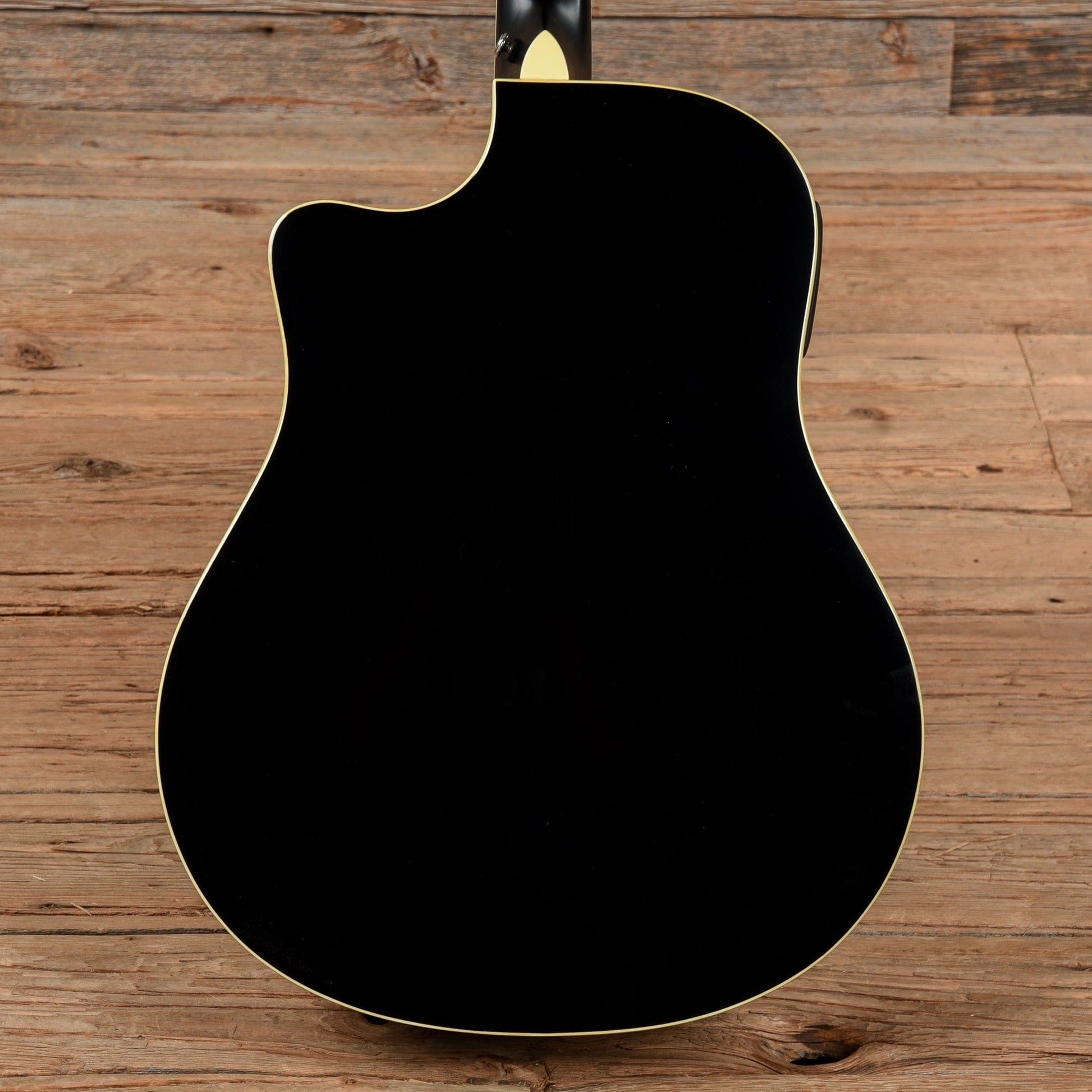 Breedlove Black Magic D25 Black Acoustic Guitars / Dreadnought