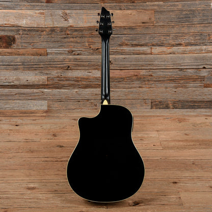 Breedlove Black Magic D25 Black Acoustic Guitars / Dreadnought