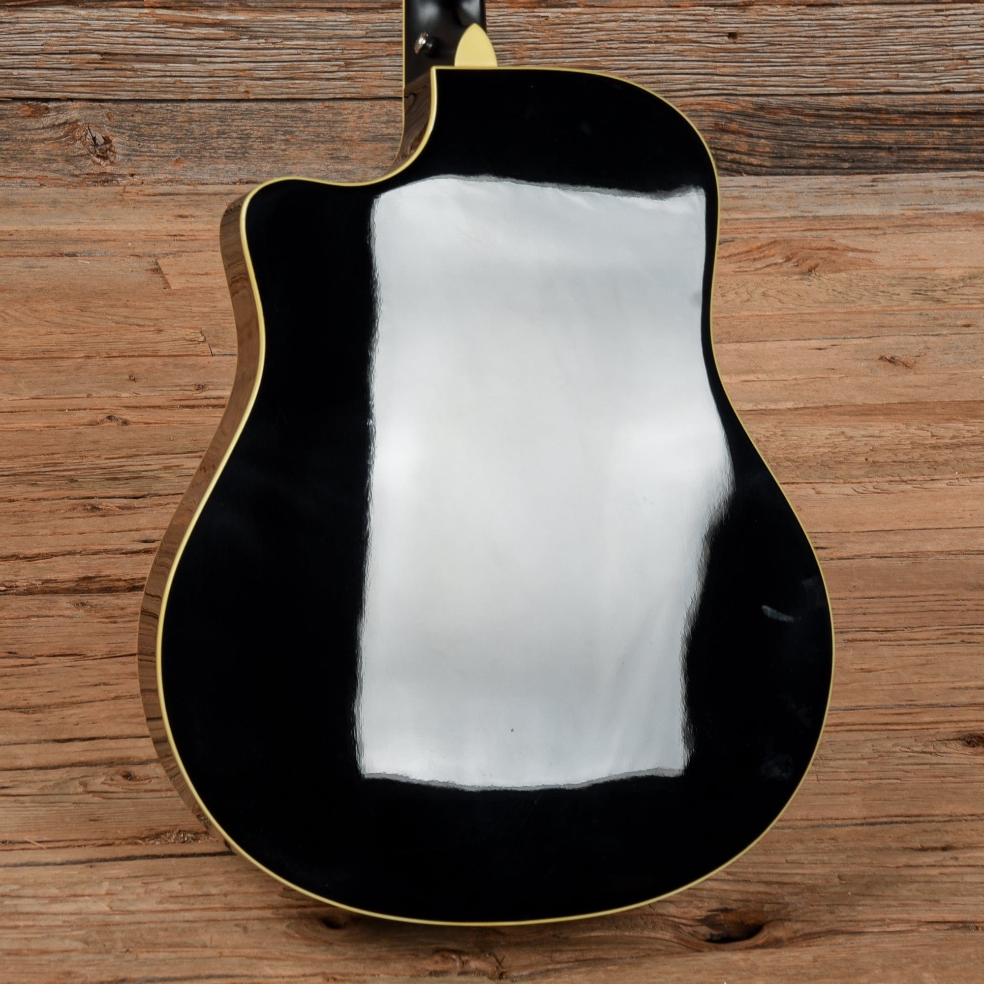 Breedlove Black Magic D25 Black Acoustic Guitars / Dreadnought