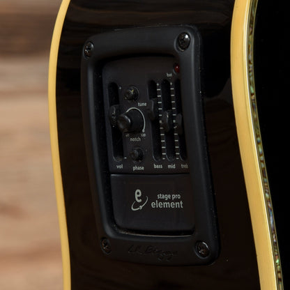 Breedlove Black Magic D25 Black Acoustic Guitars / Dreadnought