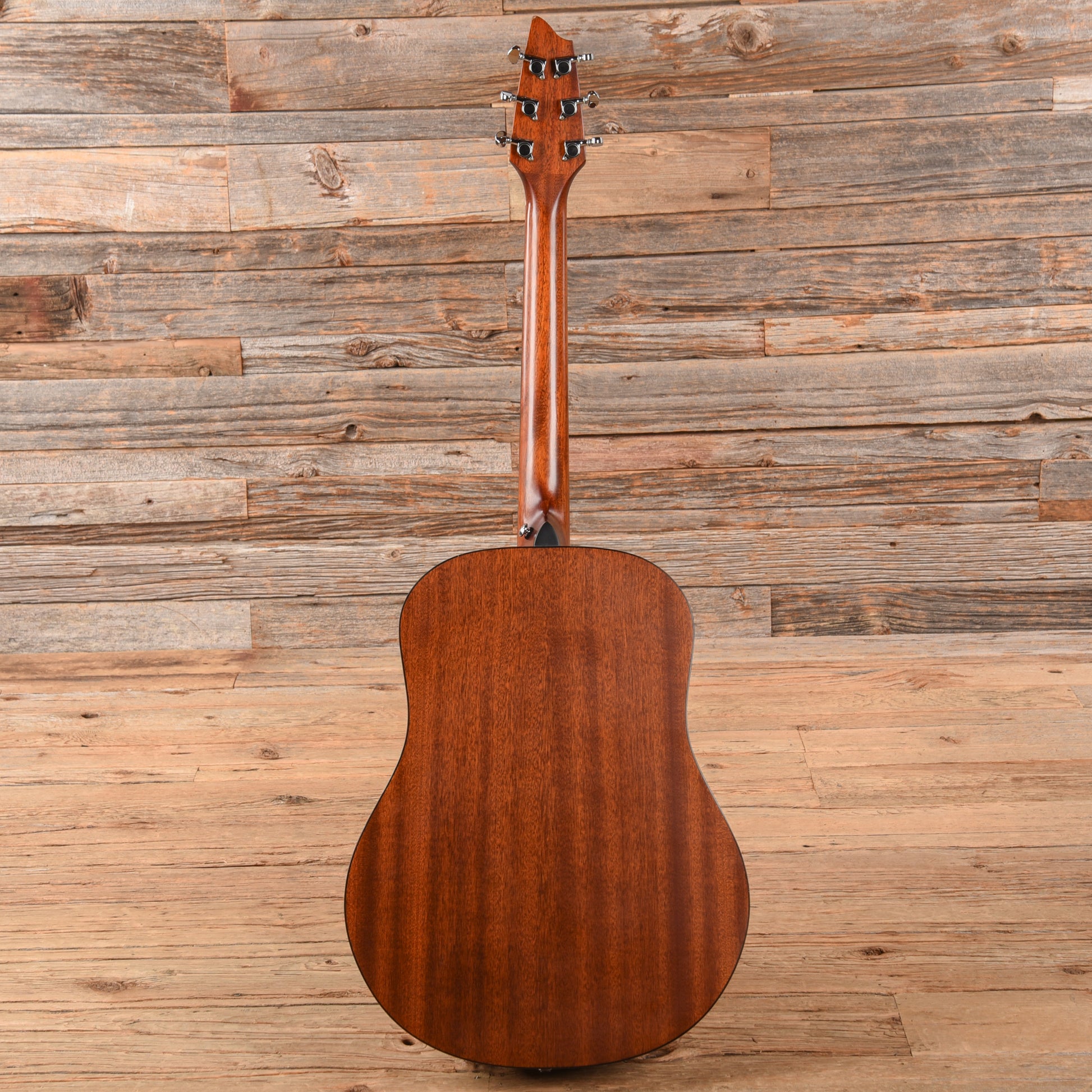 Breedlove Passport D20 FS Natural Acoustic Guitars / Dreadnought