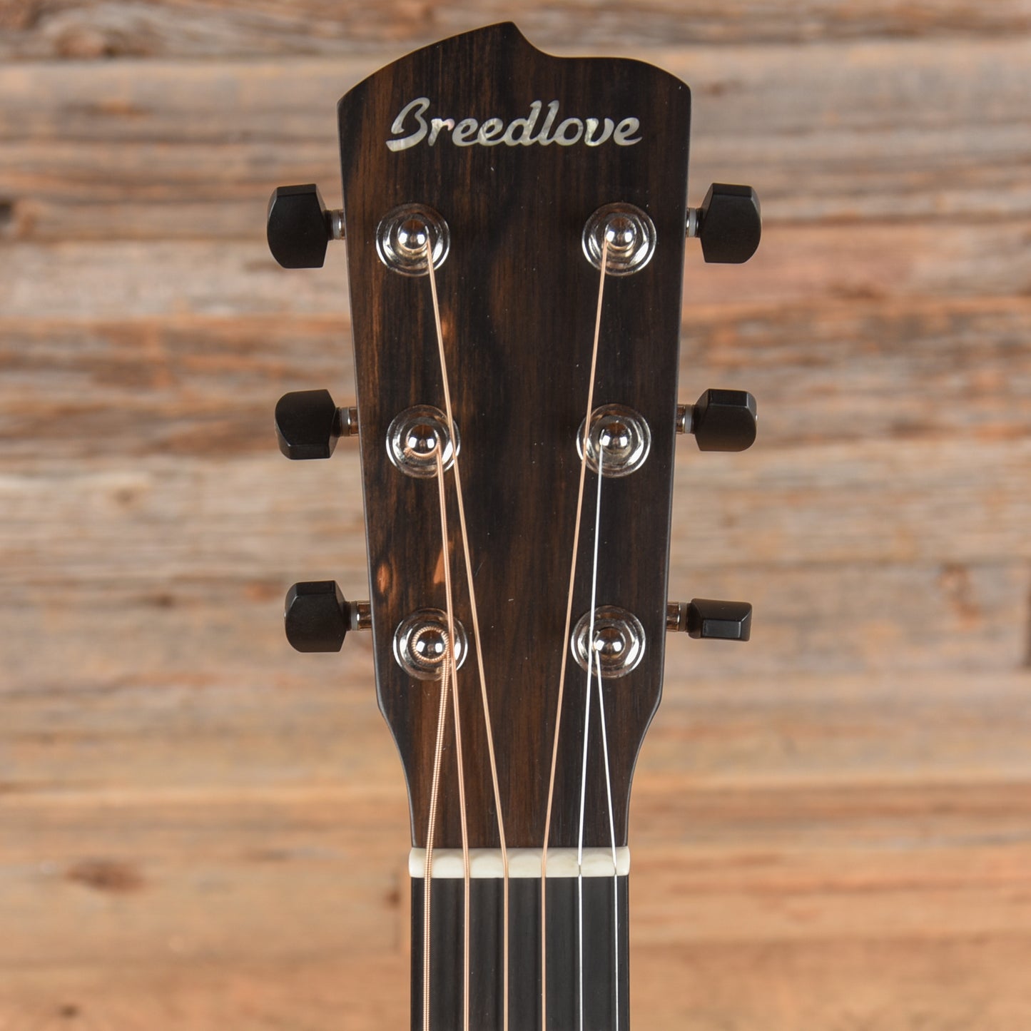 Breedlove USA Concertina E Mahogany Acoustic Guitars / OM and Auditorium