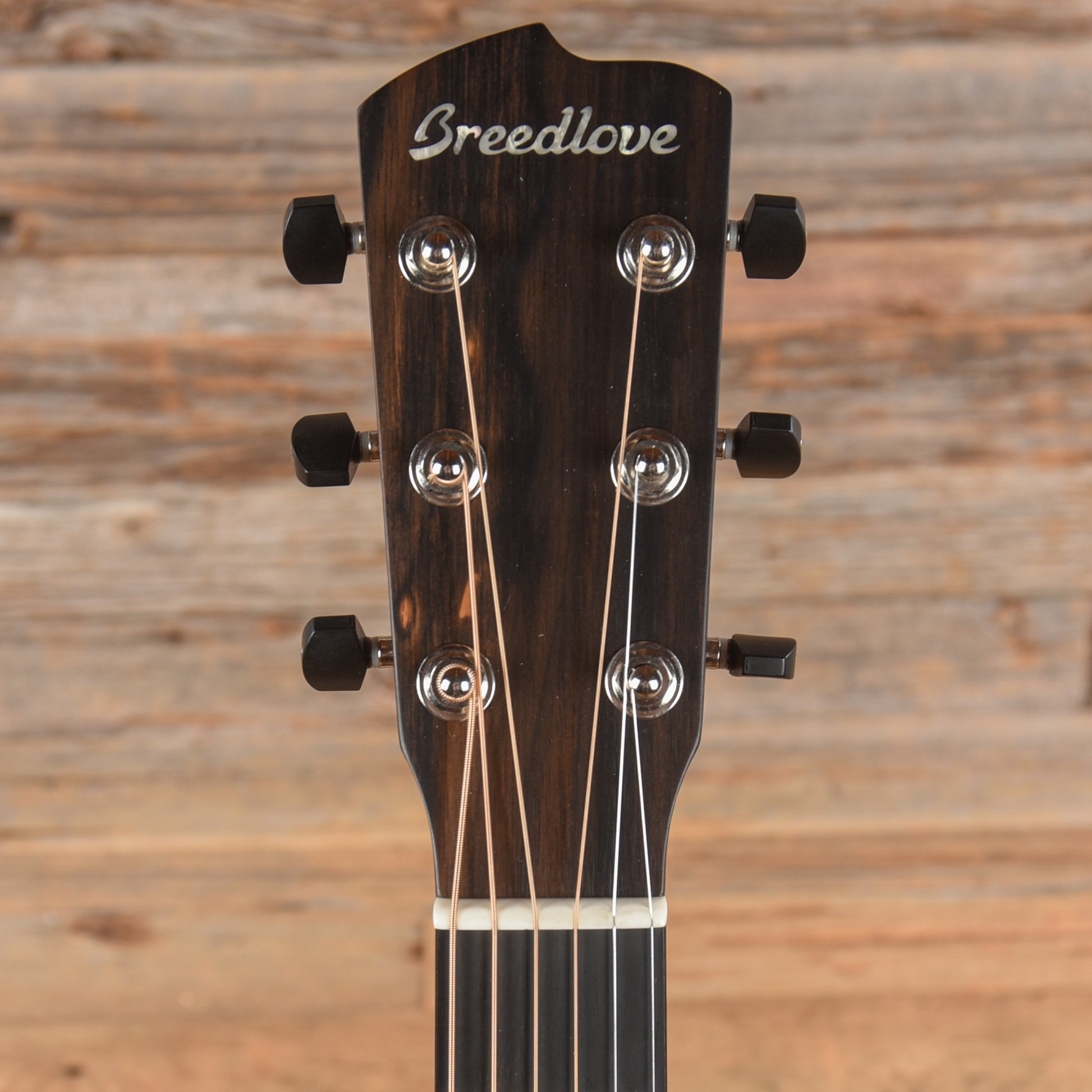 Breedlove USA Concertina E Mahogany Acoustic Guitars / OM and Auditorium