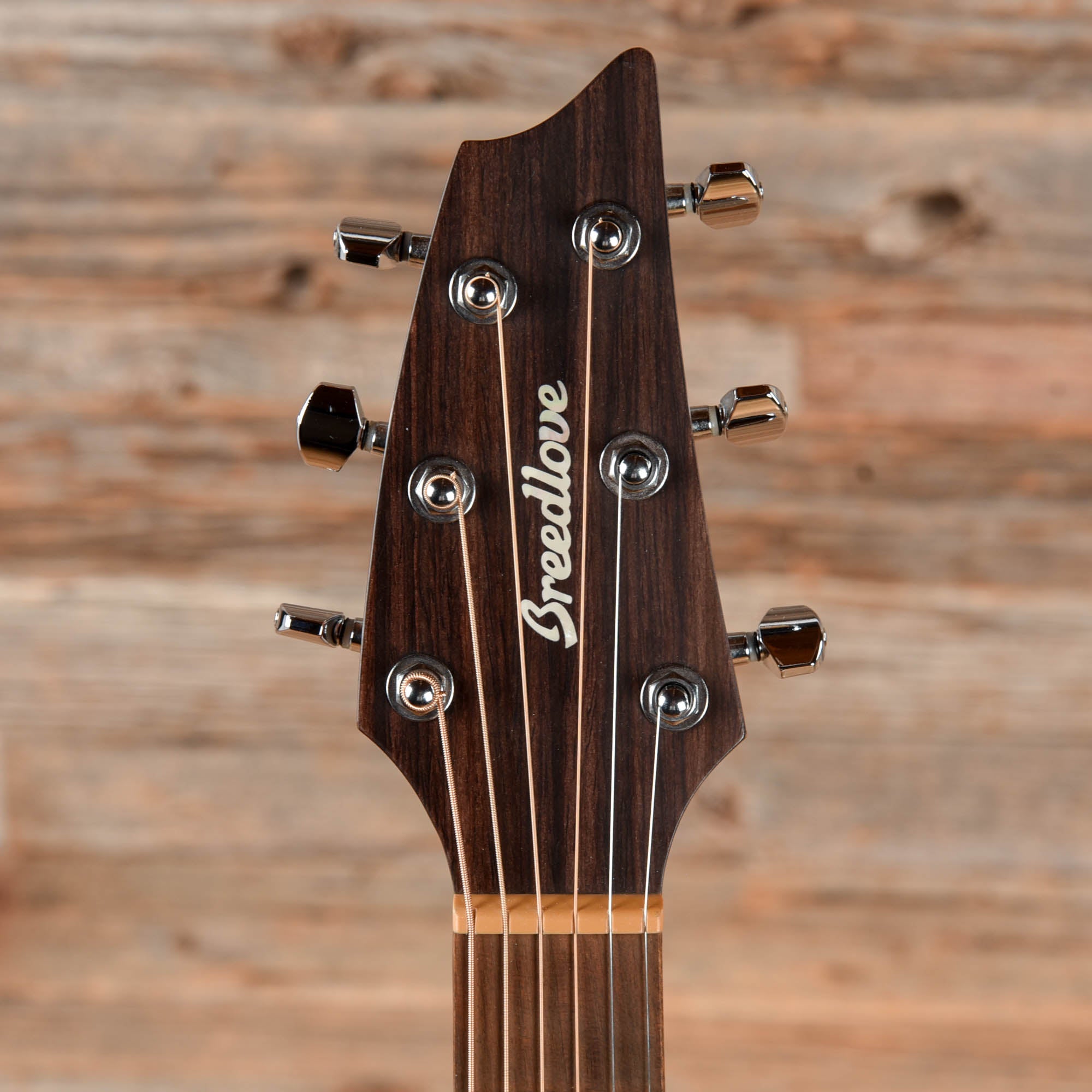 Breedlove Discovery Concert CE MH Brown 2021