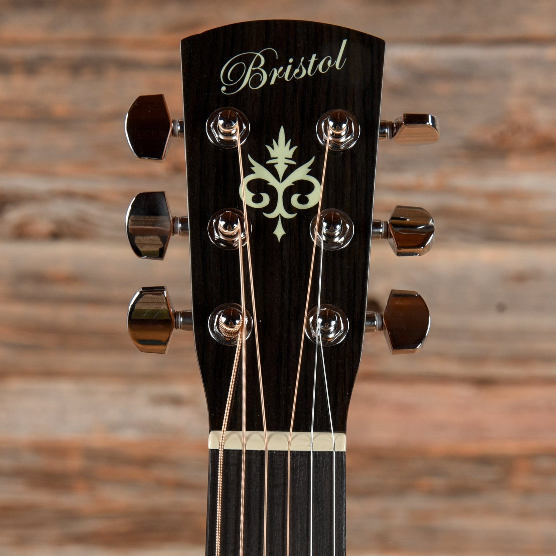 Bristol BD-16 Dreadnought Natural Natural Acoustic Guitars / Dreadnought