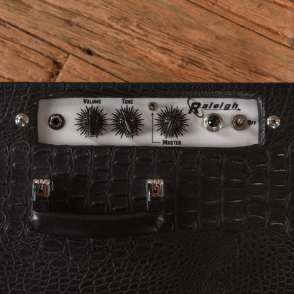 Carr Raleigh 3-Watt 1x10" Guitar Combo Amp Amps / Guitar Amps / Guitar Cabinets