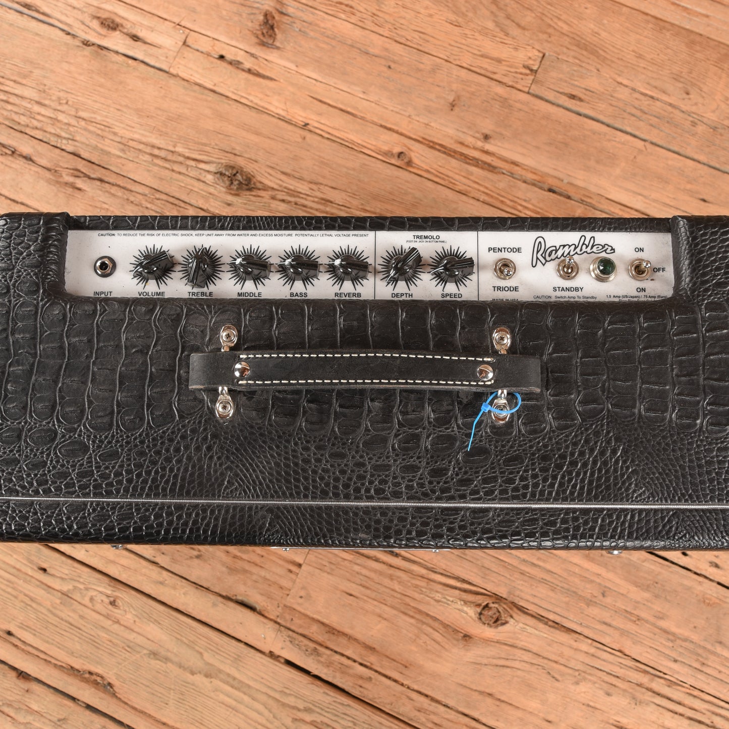 Carr Rambler 28-Watt 1x12" Guitar Combo Amps / Guitar Amps / Guitar Combos