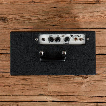 Carr Raleigh 3-Watt 1x10" Guitar Combo Amps / Guitar Cabinets