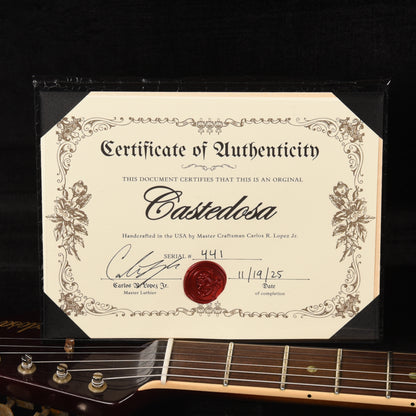 Castedosa ABI Aged Mocha w/Abigail Ybarra Pickups Electric Guitars / Solid Body