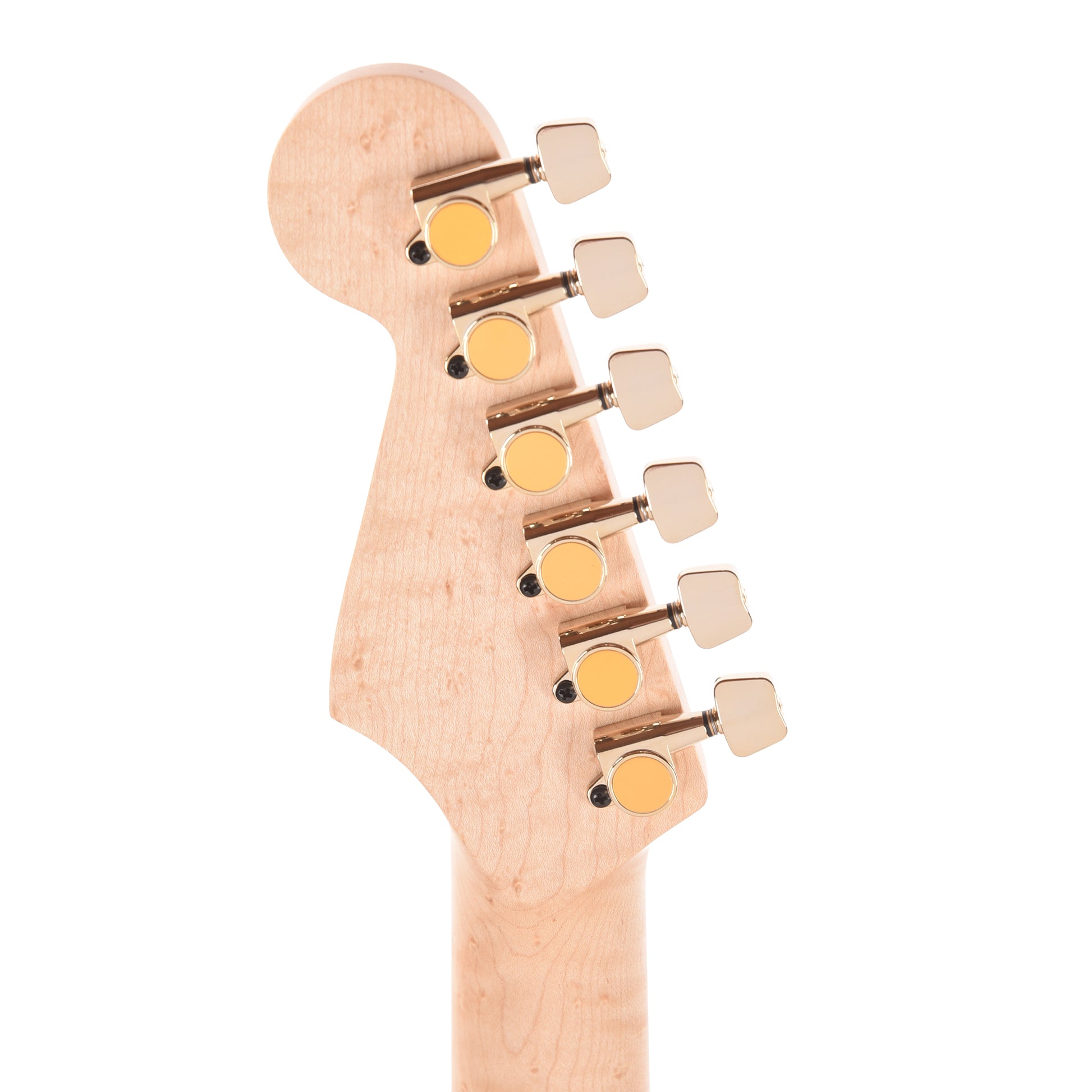 Charvel Custom Shop Special Edition Style 2 Tasmanian Blackwood/Roasted Ash w/Oil Finished Birdseye Maple Neck Electric Guitars / Solid Body