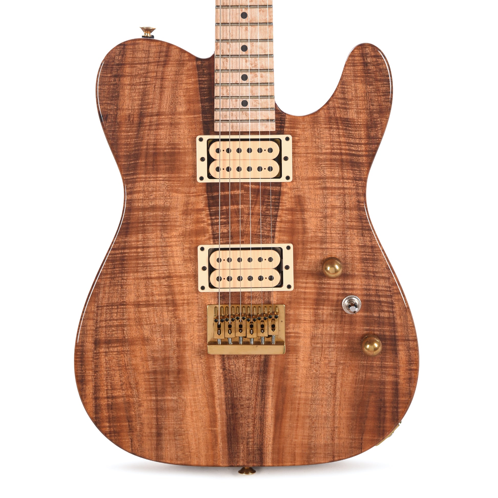Charvel Custom Shop Special Edition Style 2 Tasmanian Blackwood/Roasted Ash w/Oil Finished Birdseye Maple Neck Electric Guitars / Solid Body