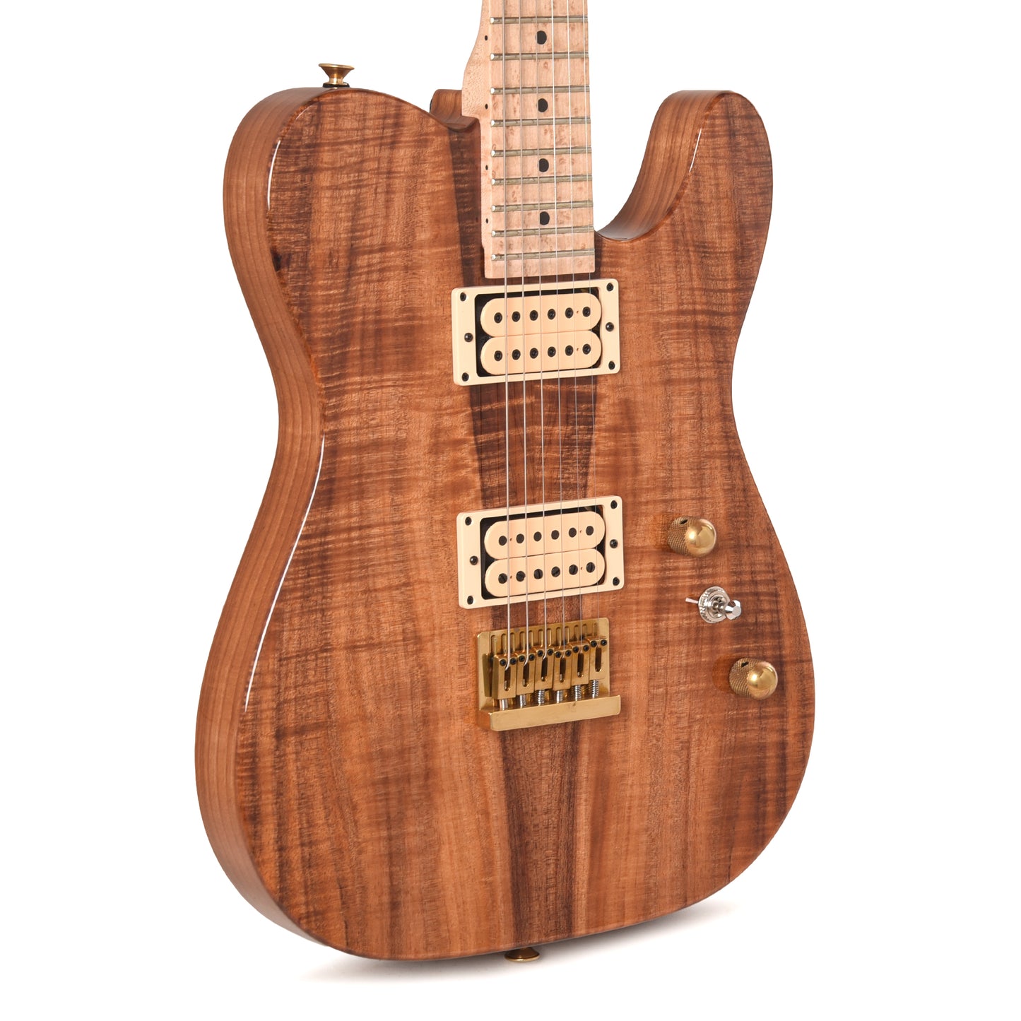 Charvel Custom Shop Special Edition Style 2 Tasmanian Blackwood/Roasted Ash w/Oil Finished Birdseye Maple Neck Electric Guitars / Solid Body