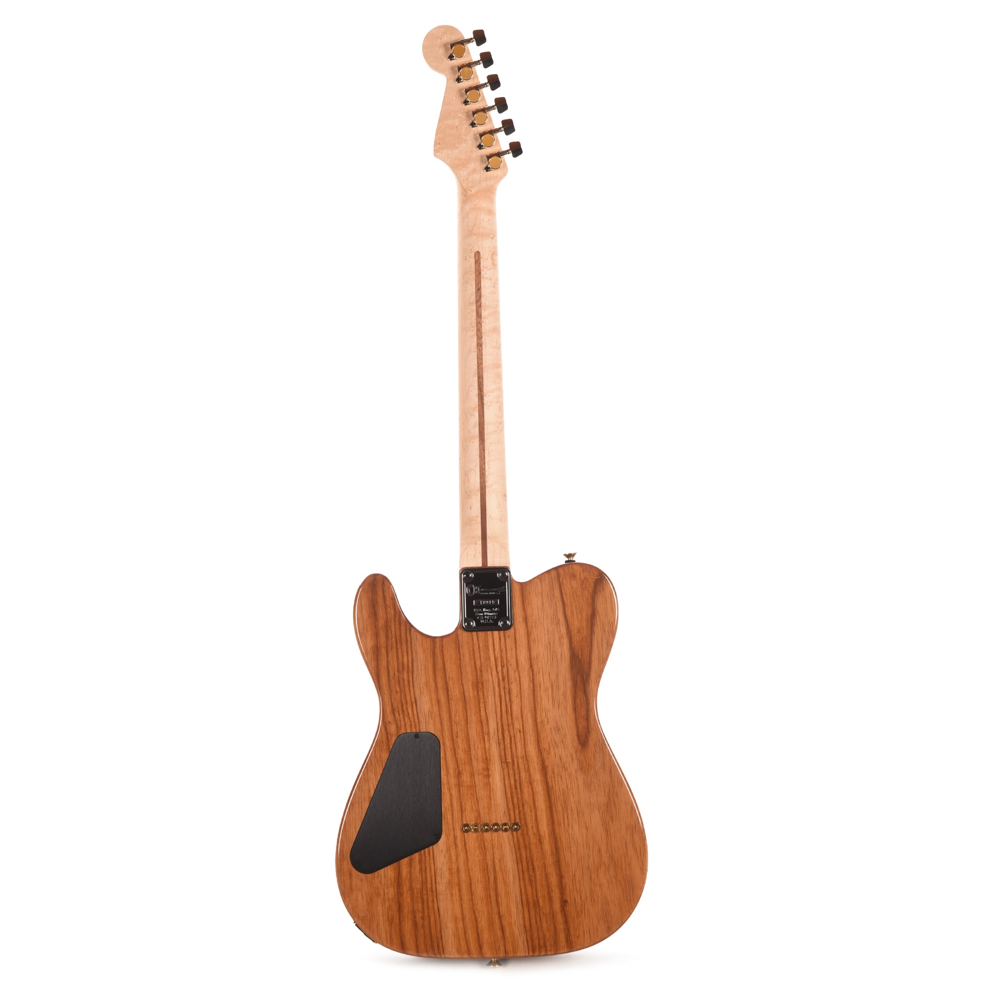 Charvel Custom Shop Special Edition Style 2 Tasmanian Blackwood/Roasted Ash w/Oil Finished Birdseye Maple Neck Electric Guitars / Solid Body
