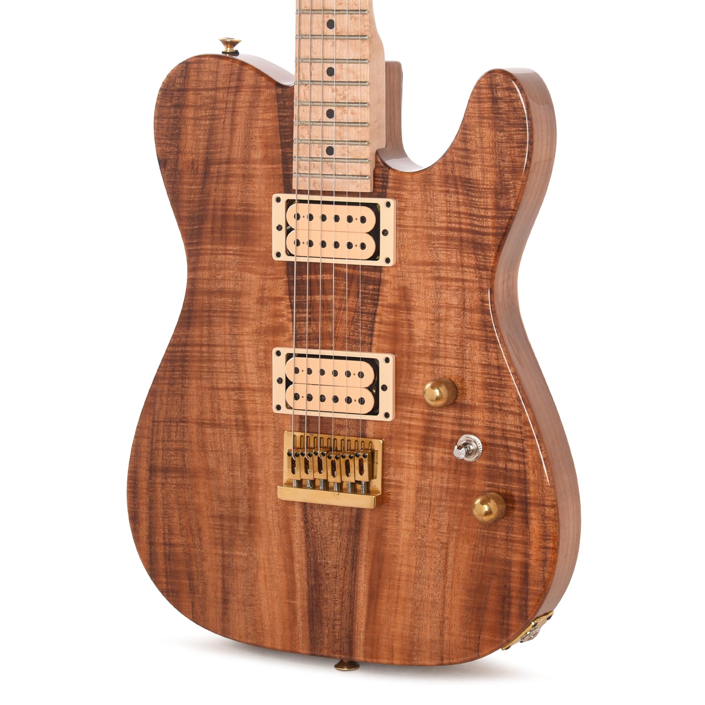 Charvel Custom Shop Special Edition Style 2 Tasmanian Blackwood/Roasted Ash w/Oil Finished Birdseye Maple Neck Electric Guitars / Solid Body