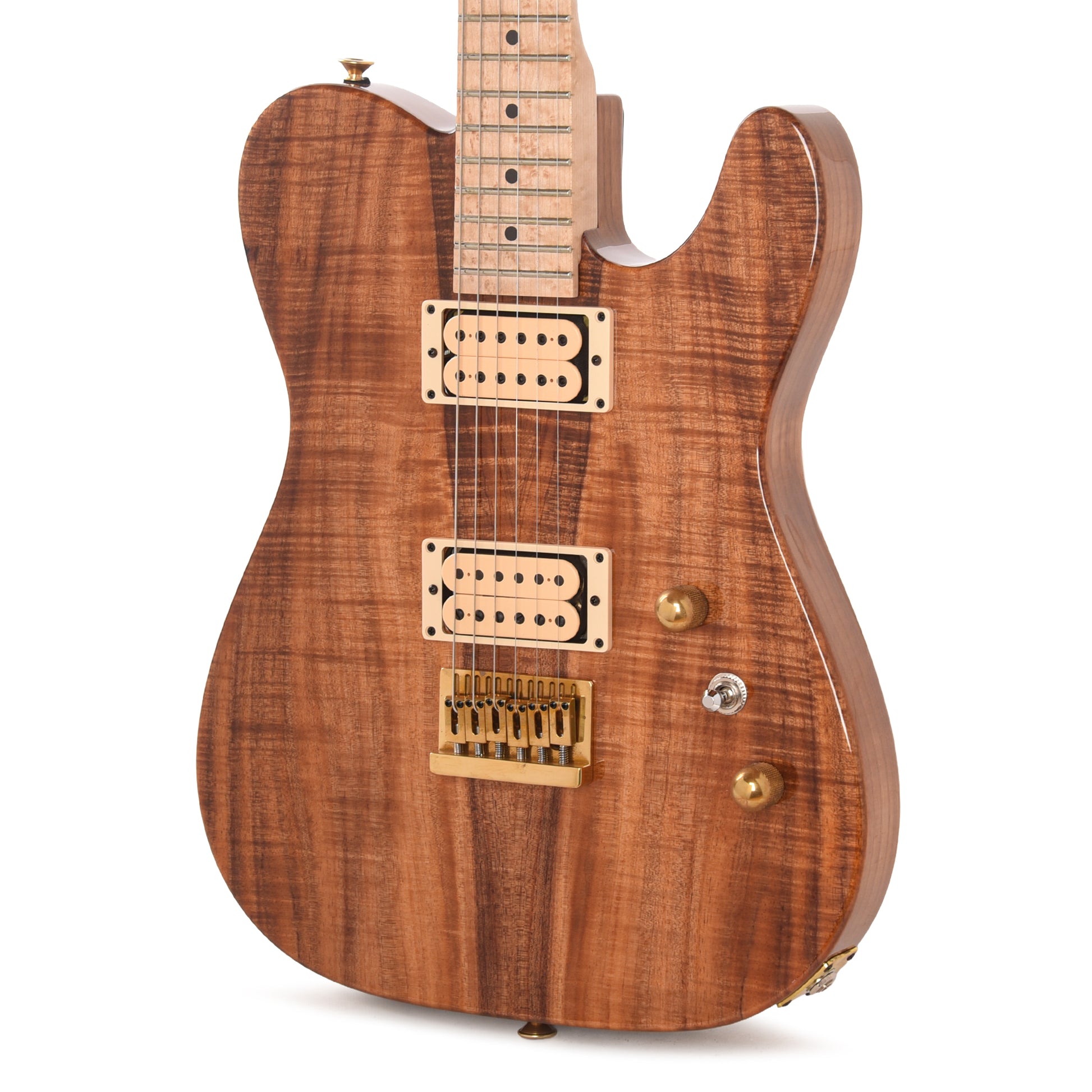 Charvel Custom Shop Special Edition Style 2 Tasmanian Blackwood/Roasted Ash w/Oil Finished Birdseye Maple Neck Electric Guitars / Solid Body