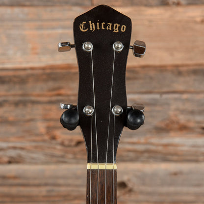 Chicago 5-String Banjo Folk Instruments / Banjos