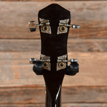 Chicago 5-String Banjo Folk Instruments / Banjos