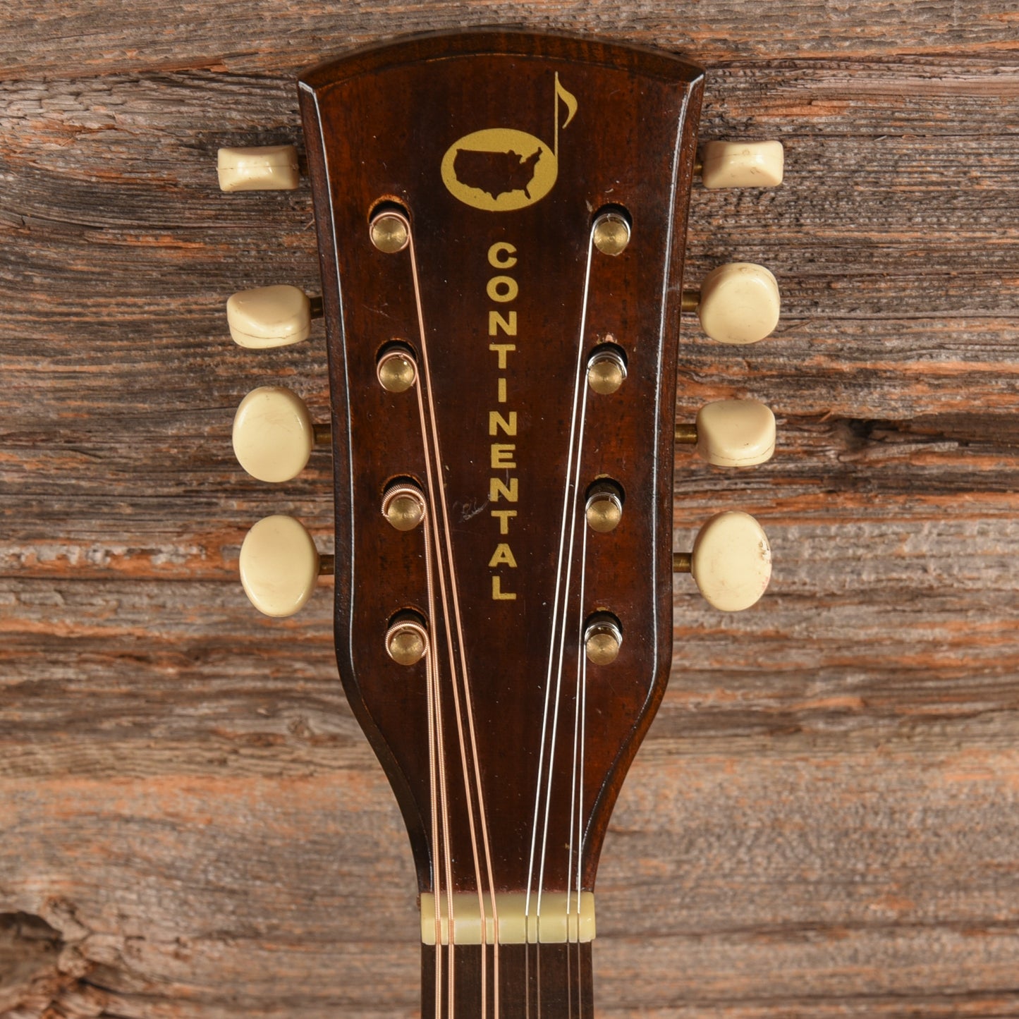 Continental Mandolin  1960s Folk Instruments / Mandolins