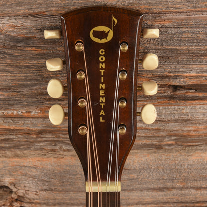 Continental Mandolin  1960s Folk Instruments / Mandolins