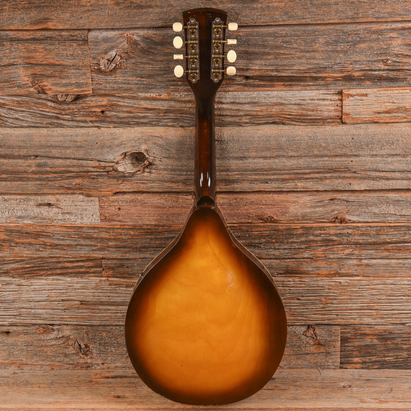 Continental Mandolin  1960s Folk Instruments / Mandolins