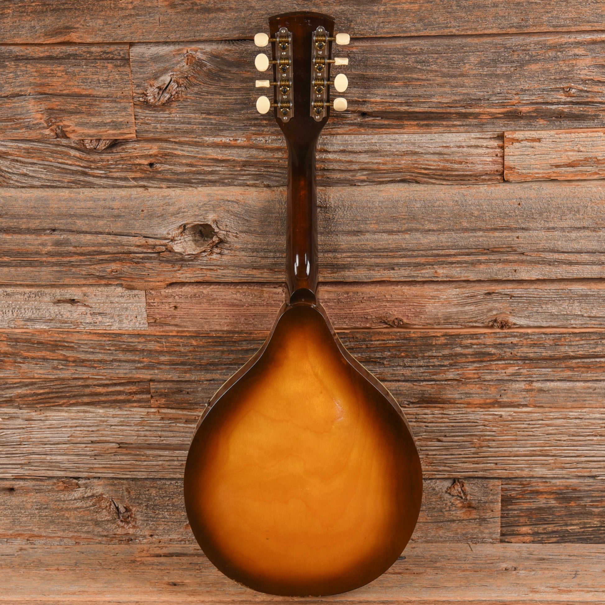 Continental Mandolin  1960s Folk Instruments / Mandolins