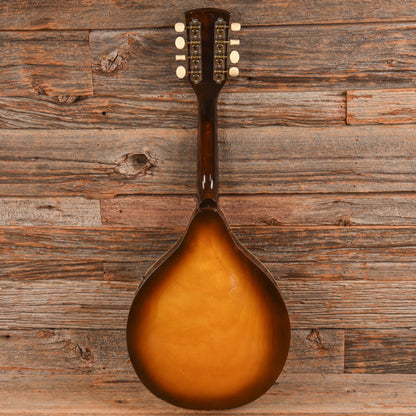 Continental Mandolin  1960s Folk Instruments / Mandolins