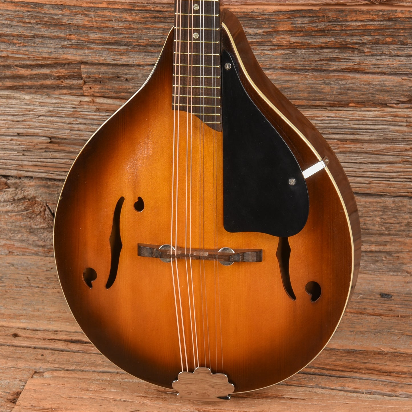 Continental Mandolin  1960s Folk Instruments / Mandolins
