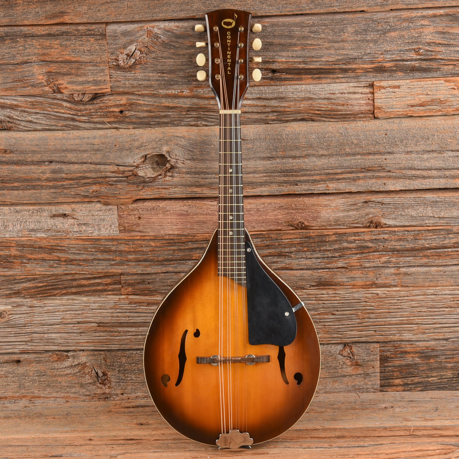 Continental Mandolin  1960s Folk Instruments / Mandolins