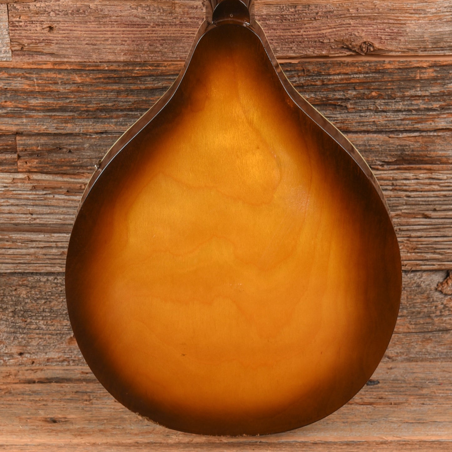 Continental Mandolin  1960s Folk Instruments / Mandolins
