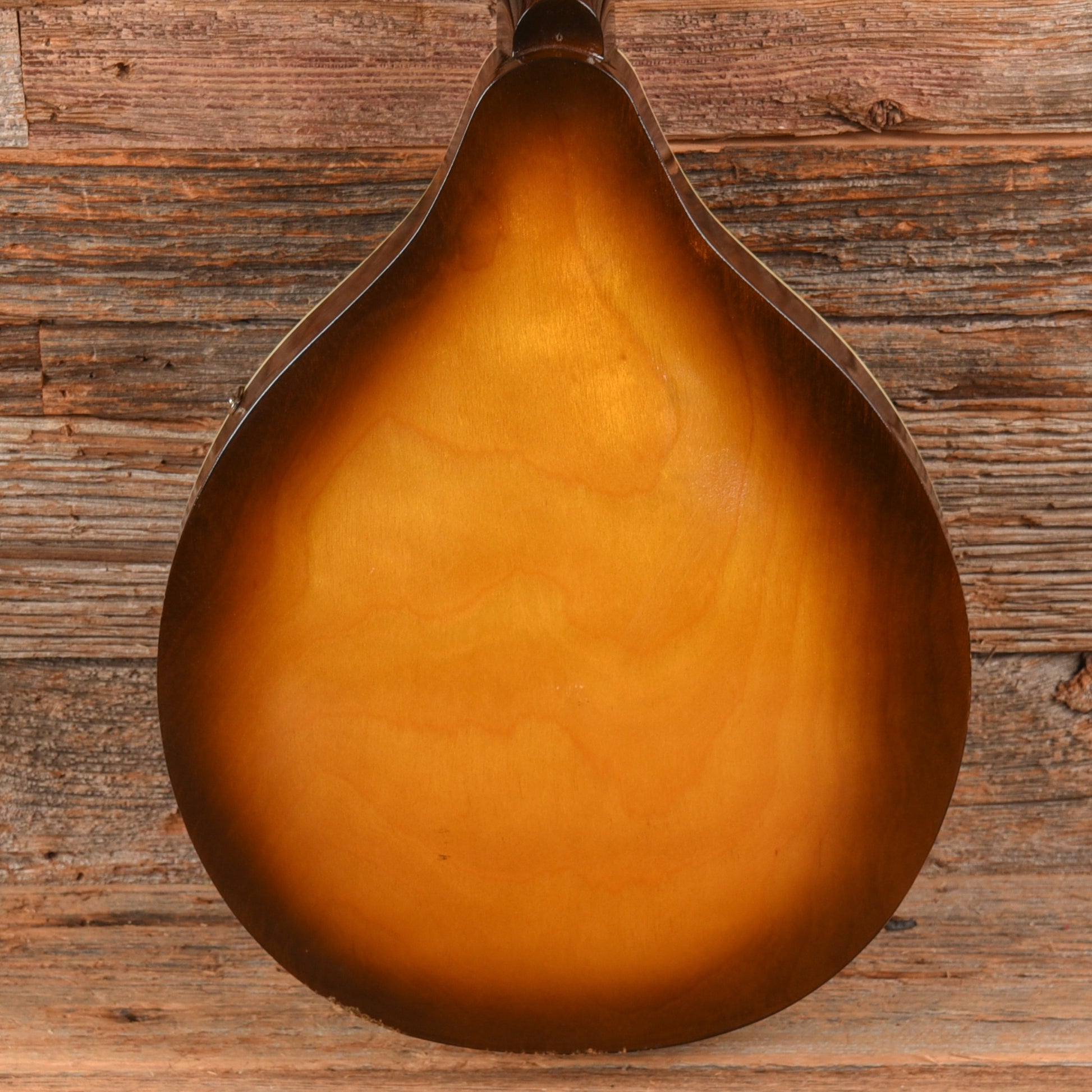 Continental Mandolin  1960s Folk Instruments / Mandolins