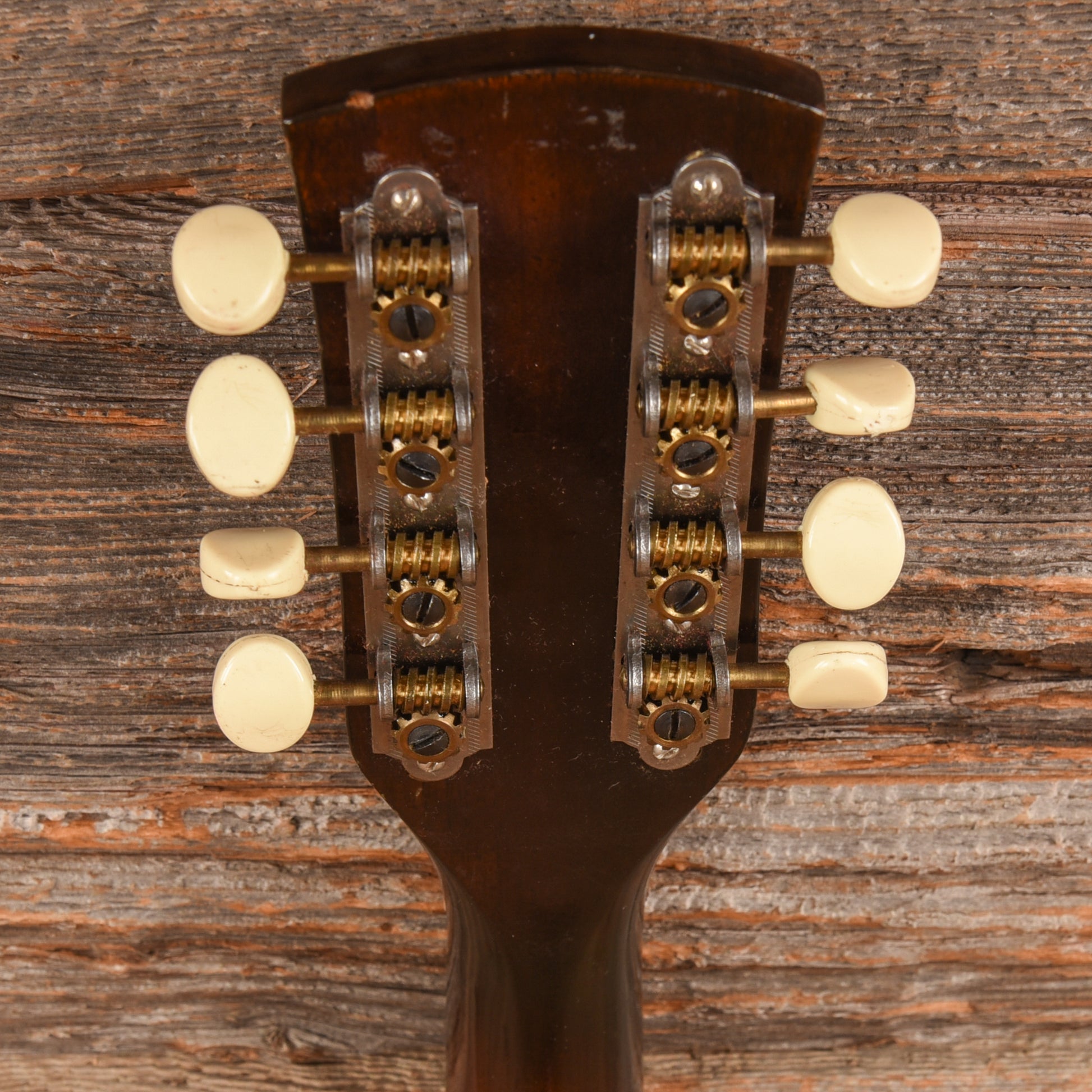Continental Mandolin  1960s Folk Instruments / Mandolins