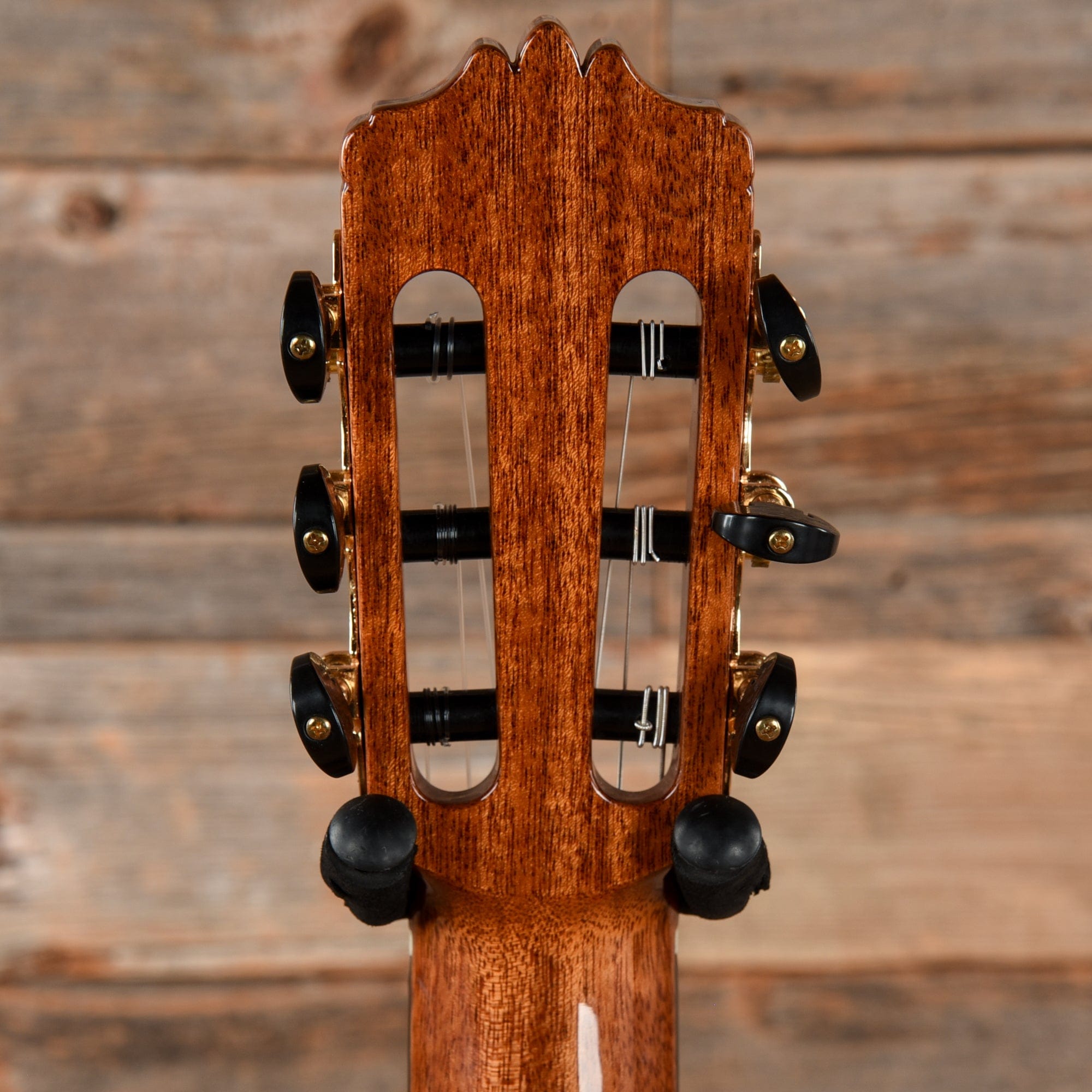 Cordoba C-12 Cedar Natural Acoustic Guitars / Classical