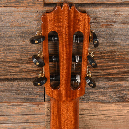 Cordoba C10 Cedar Natural Acoustic Guitars / Classical