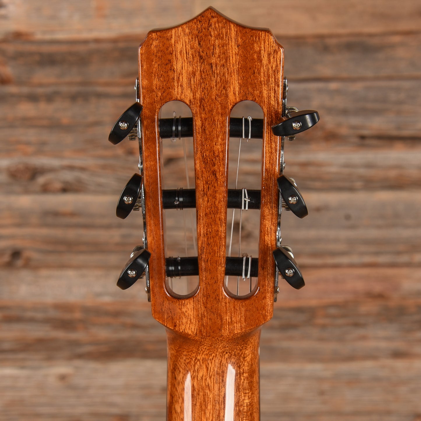 Cordoba C10 Crossover Natural Acoustic Guitars / Classical